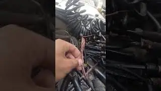не включается передачи Ман, автоэлектрик грузовой Волгоград 89692916743