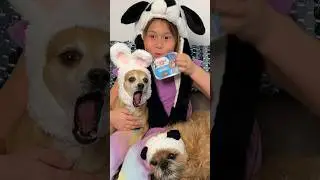 Eating DOGGY Sardines! 🐶🐟🐶 