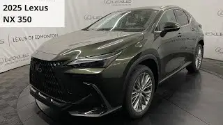 NEW 2025 Lexus NX 350 | AWD | Luxury Package