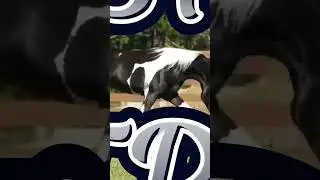 #доброеутро