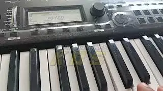 KORG KROSS 2 SAMPLES TROPICALES
