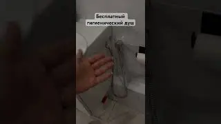 Бесплатный гигиенический душ два в одном. И смеситель и гигиенический душ