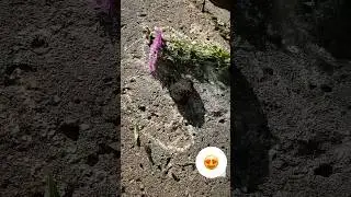 #моесчастье