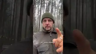 Вся правда о работе в хаски-центре «Белый ветер»