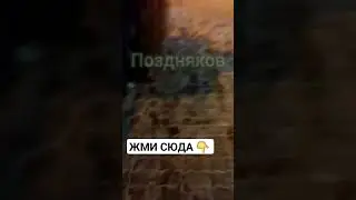 Кошмар! В Иркутске убили за слово пацана!