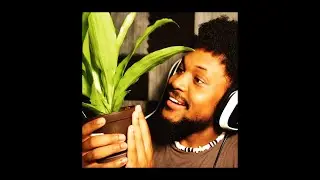 CORYXKENSHIN - Momo's Theme - Jersey Remix