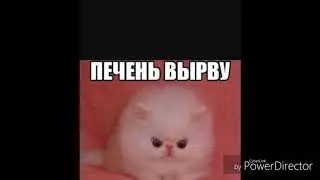 Какой ты портфель по знаку зодиака?) заходи и узнаешь)))