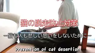 How to make a fence to prevent cat escape  / Important thoughts learned when your cat is gone