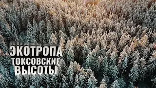 Экотропа Токсовские высоты. Зима 2021