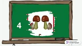Numbers
