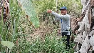 Umpan joz, ternyata masih oke, walaupun sudah seminggu