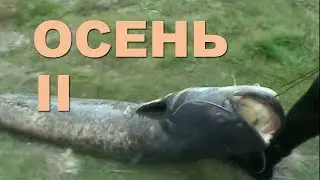 Underwater hunting in autumn 2011. The second part of the retro film.