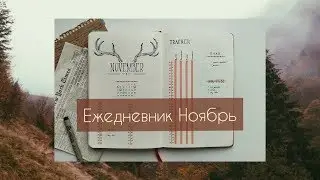 Bullet journal Ноябрь // холодно и серо // 2019