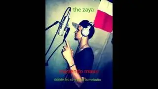 Si no vaila no sale - the zaya