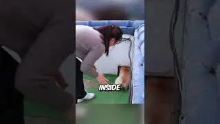 This dog was hiding a secret 😳