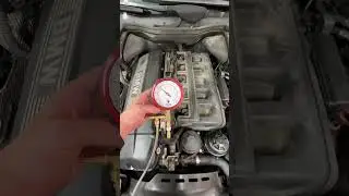What a bad fuel pump looks like.           