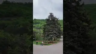 Гора Машук в Пятигорске | Ворота солнца 