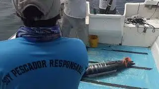 PESCA DE WAHOO 16 - 05 - 2024