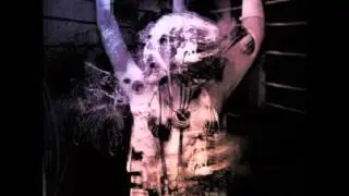 CygnosiC - Decide