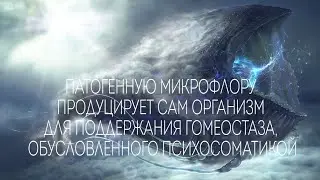 Всё что нужно знать о здоровье