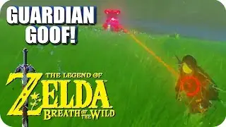 Guardian Goof! - Zelda BOTW (Stream Highlight)