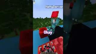 Minecraft Telepathy 18