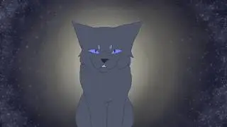 burn the stars meme - warriors