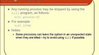 Linux Basics: Killing Processes