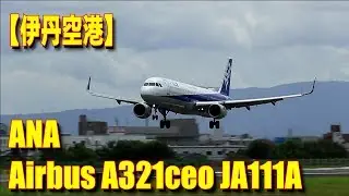 ANA Airbus A321ceo JA111A Landing