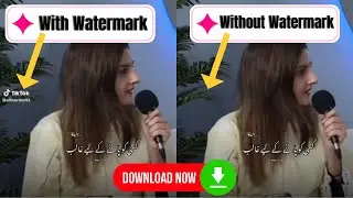 How to Download  TikTok Videos Without Logo