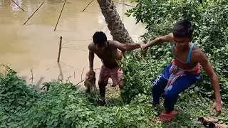 Amazing Fish Catching | পুকুরে জাল ফেলে মাছ ধরলাম ।
