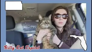 Three Day Road Trip with a Cat