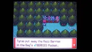 Pokémon Platinum Comprehensive Walkthrough Part 29