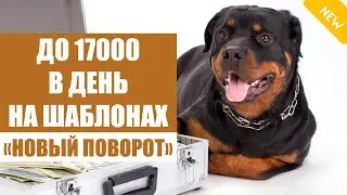 Как в интернете заработать деньги быстро