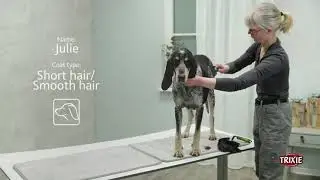 Deshedding and Thinning Tool for Pets - TRIXIE Pet Products North America