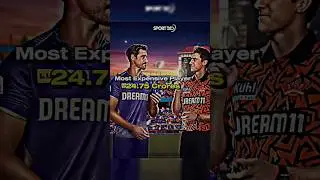 The Aussies 😬 #shorts #2024 #ipl2024 #kkrvssrh #andrerussell