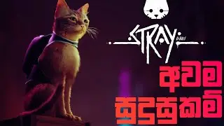 Stray System Requirements (Sinhala)