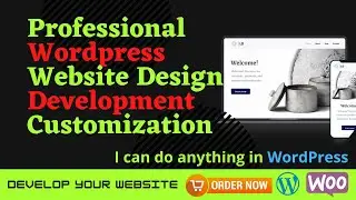 Website Design | Website Development | Theme Customization | Website Designer | Website Developer