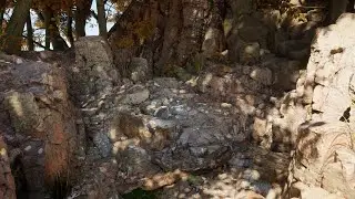 Autumn Natural Spring - ASMR Relax Study Unreal Visual Chill