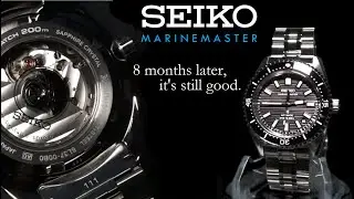 Seiko Marinemaster SJE101 8 Months Later & Official Definition of 