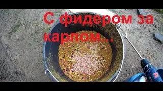 С фидером на платнике!Квакшино Тверская область.
