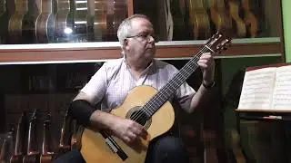 las palmereas de mi tierra(tutorial)