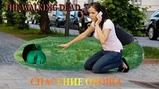 The Walking Dead [Спасение Овоща]
