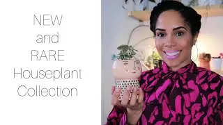 RARE HOUSEPLANT COLLECTION
