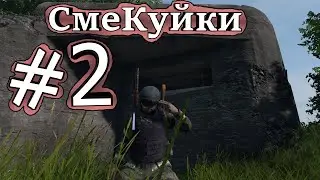 Day Z Лучшее #2