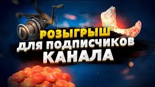 РОЗЫГРЫШ ПРЕМИУМА И ГОЛДЫ!!! #русскаярыбалка4 #russianfishing4 #рыбалка #трофей #fishing #розыгрыш