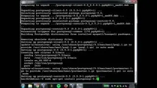 Managing OS Provided PostgreSQL Packages
