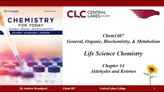 Chem1407 Lecture Notes Chapter 14
