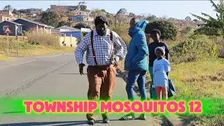 TOWNSHIP MOSQUITOS 12