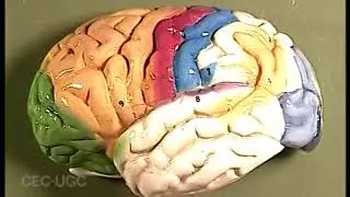 Electroconvulsive Therapy